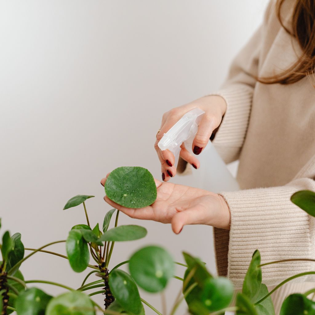 Návrh bez názvu (44)